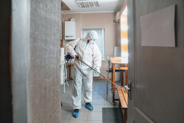 Best Crawl Space Mold Remediation  in Lake City, MN