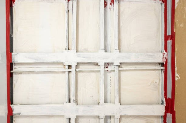 Best Mold Prevention Services  in Lake City, MN